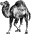 Perl