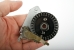 CX-52 cipher wheel with 31 pins removed from the machine