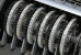 Close-up