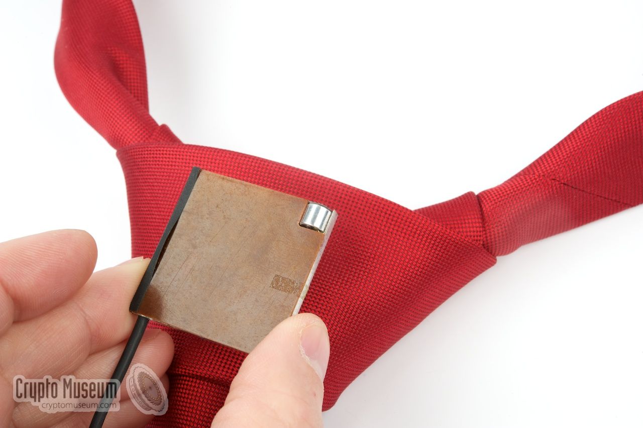 The necktie bug above the knot of a necktie