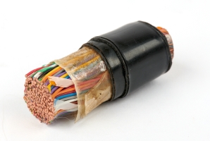 Piece of multi-conductor telephone cable from Building 26