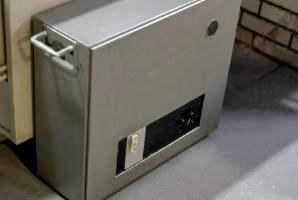 It is thought that this is Cryptauphyl, but it is also possible that this is Abacophyl. Image extracted from Museum waalsdorp 3D-tour, and digitally enhanced. Click to enlarge.