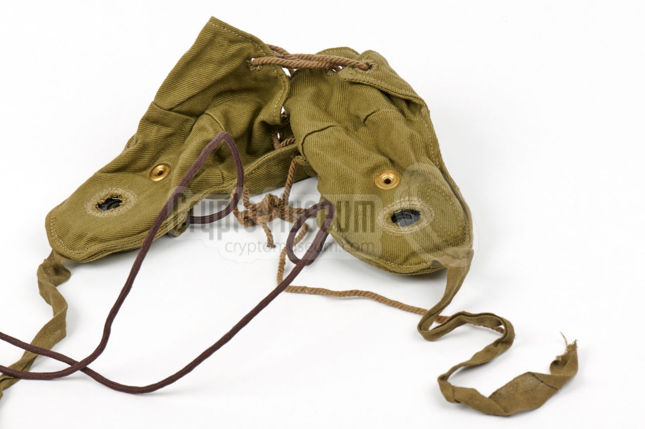 Headphones in canvas carrier