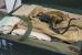 Contents of the wooden box